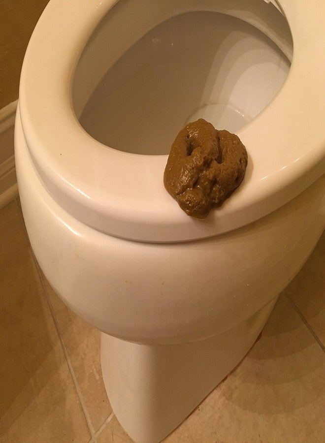 SummitLink Realistic Gross Party Pooper Fake Poo Dog Poop Novelty Toy Brown Birthday Prank Toy Novelty Gift Joke New - Image 4